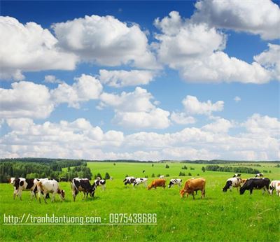  Bộ sưu tập những mẫu tranh dán tường động vật khiến các bé thích mê