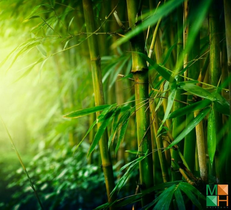 Tranh dán tường đẹp