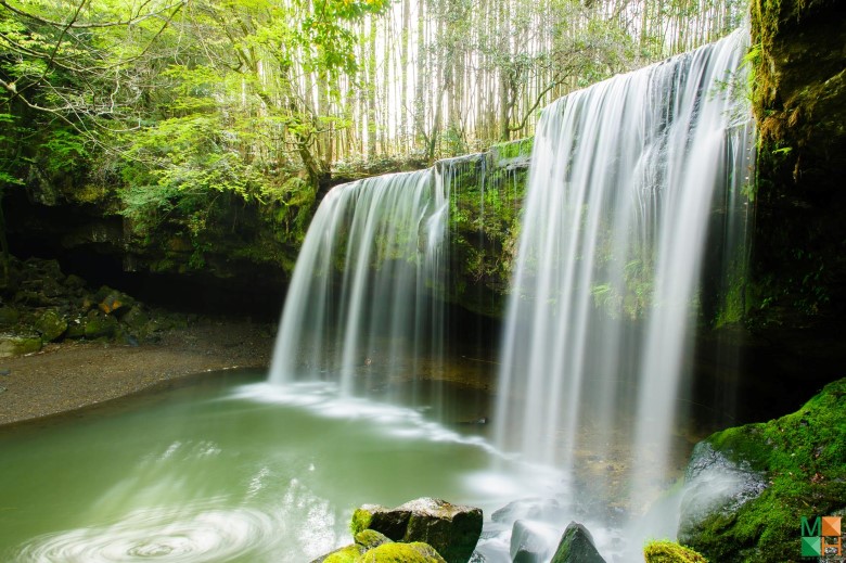 Tranh dán tường đẹp